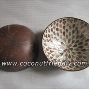 Wholesale-coconut-bowls-1