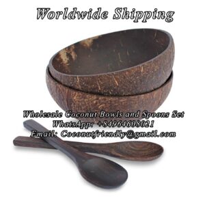 Wholesale-Coconut-Bowls-and-Spoons-Set 06