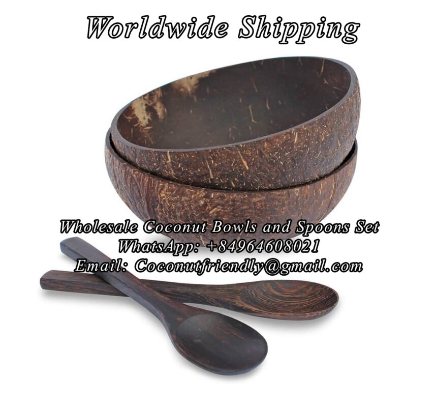 Wholesale-Coconut-Bowls-and-Spoons-Set 06