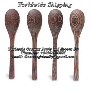 Wholesale-Coconut-Bowls-and-Wooden-Spoons-Set-Coconutfriendly.com_07