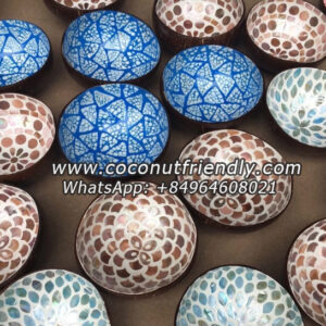 Wholesale-Handmade-Seashell-Coconut-Lacquer-Shell-Bowls 10