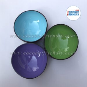 Wholesale-Metallic-Coconut-Bowls-Coconut-bowls-vietnam-wholesale-21