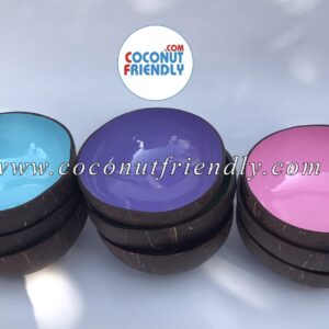 Wholesale-Plain-Coconut-Bowls-Vietnam-Wholesale-coconut-bowls-22