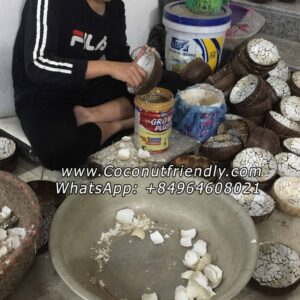 Wholesale-Vietnam-Lacquered-Coconut-Bowl-Made-from-natural-Coconut-Shell-Bowl