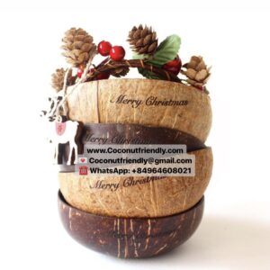 Wholesale-coconut-bowls-12