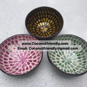 Wholesale-lacquered-coconut-shell-bowl-in-vietnam-11
