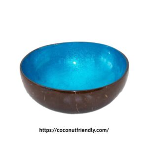 Lacquer-coconut-bowl-distributor-supply