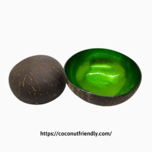 Bulk purchase of mother of pearl coconut bowl