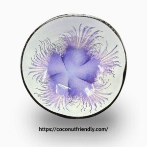 coconut-bowls-lacquer-with-hand-painting-color