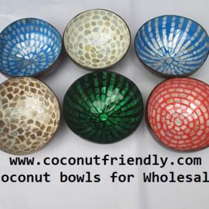 coconut-bowls-for-wholesale-95
