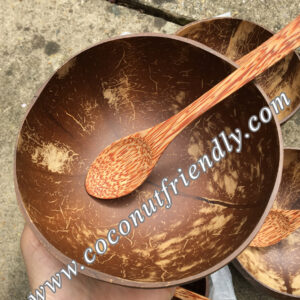 Natural-coconut-bowls-for-wholesale-75