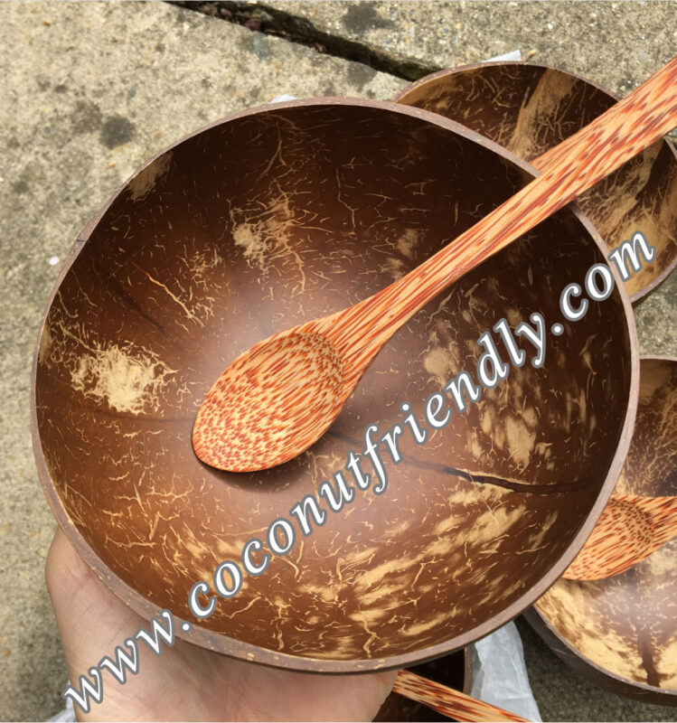 Natural-coconut-bowls-for-wholesale-75