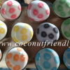 handpainted-coconut-bowls-wholesale 68
