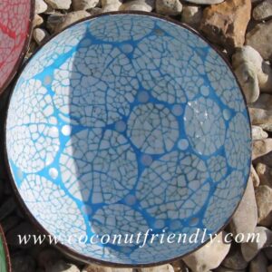 acqured-coconut-bowls-wholesale 54