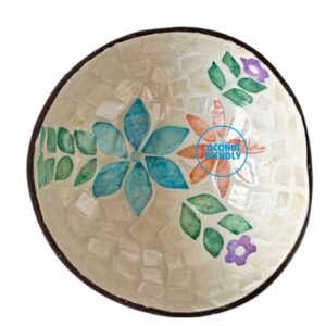 mother-of-pearl-coconut-bowl-in-retail