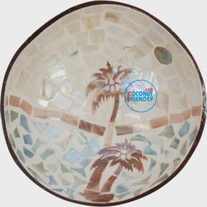 mother-of-pearl-coconut-bowl- in-bulk