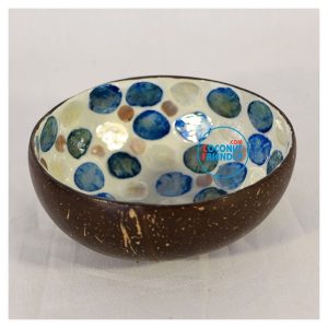 mother-of-pearl-coconut-friendly-new-43