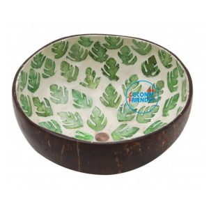 mother-of-pearl-coconut-friendly-new-45