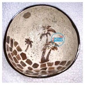 mother-of-pearl-coconut-friendly-new-55