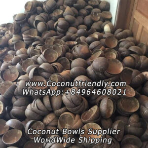 wholesale-natural-coconut-shell-bowl-in-vietnam.jpg