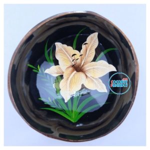 Bulk-Lacquer-coconut-bowls-supply-26