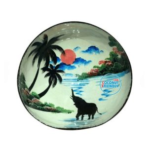 Bulk-Lacquer-coconut-bowls-supply-33