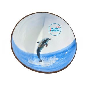 Bulk-Lacquer-coconut-bowls-supply-34