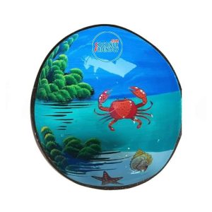 Bulk-Lacquer-coconut-bowls-supply-38