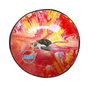 Bulk-Lacquer-coconut-bowls-supply-4