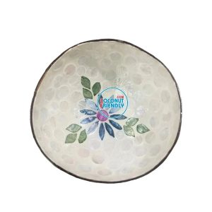 Mother-of-Pearl-Coconut-Bowl-Bulk-Supply-13