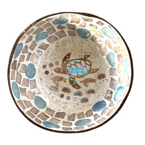 Mother-of-Pearl-Coconut-Bowl-Bulk-Supply-14