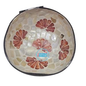Mother-of-Pearl-Coconut-Bowl-Bulk-Supply-19