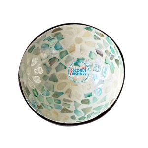 Mother-of-Pearl-Coconut-Bowl-Bulk-Supply-2