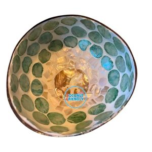 Mother-of-Pearl-Coconut-Bowl-Bulk-Supply-22
