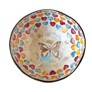 Mother-of-Pearl-Coconut-Bowl-Bulk-Supply-23