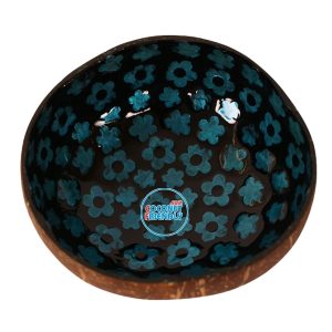 Mother-of-Pearl-Coconut-Bowl-Bulk-Supply-29