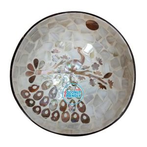 Mother-of-Pearl-Coconut-Bowl-Bulk-Supply-34