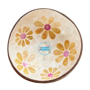 Mother-of-Pearl-Coconut-Bowl-Bulk-Supply-4