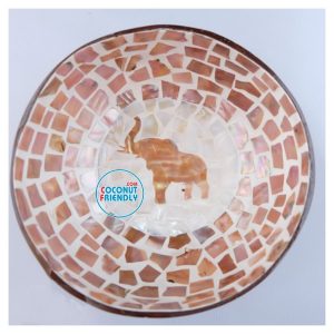 Mother-of-Pearl-Coconut-Bowl-Bulk-Supply-6