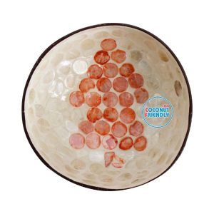 Mother-of-Pearl-Coconut-Bowl-Bulk-Supply-8