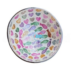 Wholesale-mother-of-pearl-coconut-bowls-1