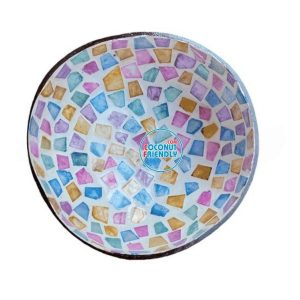 Wholesale-mother-of-pearl-coconut-bowls-4