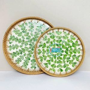 Luxury Mother Of Pearl Tray Bulk Order For Mauritius Beach Bars- TCRMT 8749C