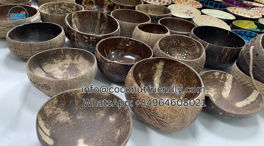 coconut friendly showroom - 5