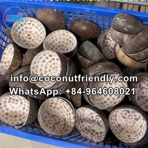 manufacturer mop cocobut bowl