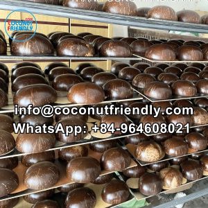 manufacturer mop cocobut bowl